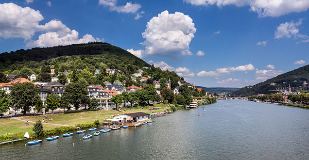Idyllischer Blick auf den Neckar. (Foto: Diemer)