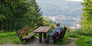Space to breathe – Heidelberg’s city forest has achieved certification as a ‘recreational forest’. (Photo: Anspach)