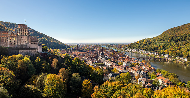The castle in cheerful autumn colours: View of the castle, the old city and the river Neckar (Photo: Dittmer)