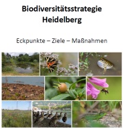 Heidelberger Biodiversitätsstrategie
