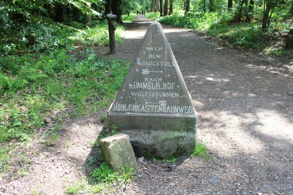 Bild mit einem Stein mit Zielrichtung Königstuhl, Kümmelbacher Hof und Hohler Kästenbaum