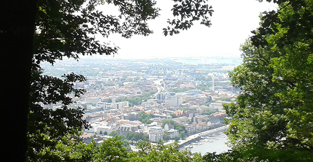 Von Bäumen umrandeter Blick auf die Stadt vom Heiligenberg