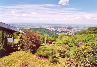 Für die umfassende Sanierung der beiden Brücken auf der oberen, historischen Bahn der Bergbahn stellt das Land rund 926.000 Euro bereit. (Foto: Stadtwerke Heidelberg) Historische Bergbahn mit Blick auf Stadt