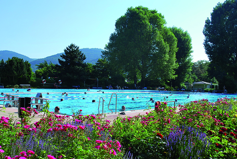 Das neue Tarifsystem sorgt dafür, dass das Angebot und der Komfort in den Bädern, wie hier im traditionsreichen Thermalbad, erhalten bleibt. (Foto: Stadtwerke Heidelberg) Freibad mit Blumenbeeten und BÄumen drumherum