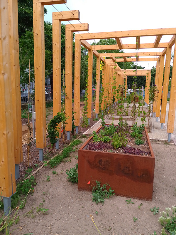 Pergola mit Kletterpflanzen und Hochbeete