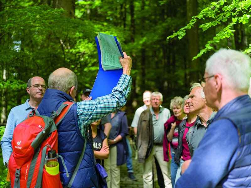 Gruppe im Wald