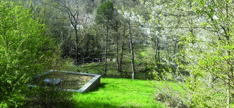 Kleines Gebäude umgeben von Wiese und Bäumen