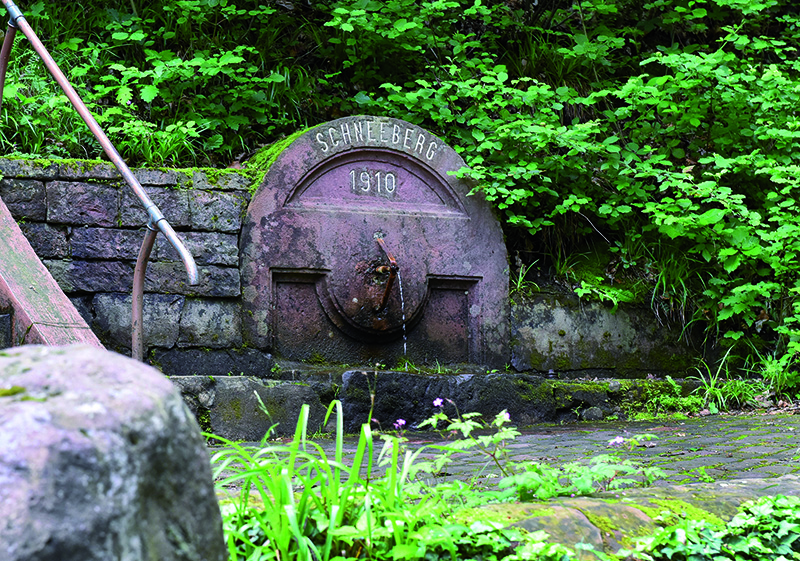 Direkt neben dem Schneebergbehälter am Chaisenweg entsteht ein neuer Behälter, der die Wasserversorgung langfristig sichern wird.(Foto: Stadtwerke Heidelberg) Wasserhahn an einer Mauer mit dem Schriftzug Schneeberg 1910