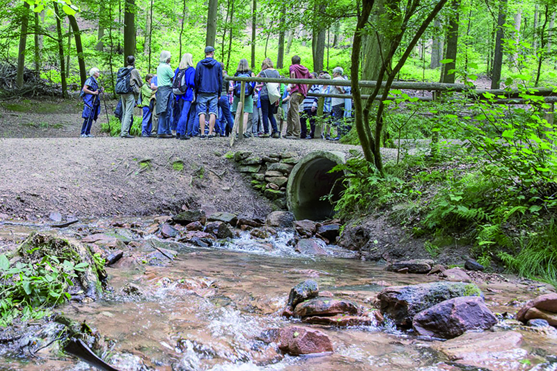 Wissenswertes und interessante Anekdoten zur Wasserversorgung erfahren Teilnehmende bei einer Führung durch das Mühltal. (Foto: Stadtwerke Heidelberg) Gruppe im Wald. Im Vordergrund ein Bach