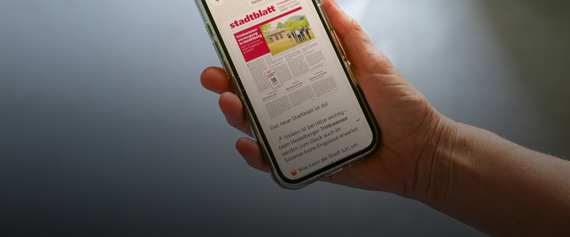 Stadtblatt-Beitrag auf WhatsApp-Kanal